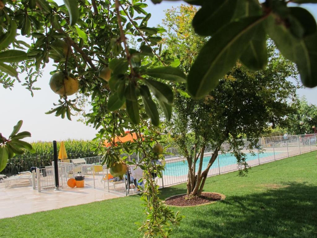 Agriturismo Bortolino Volta Mantovana Zewnętrze zdjęcie